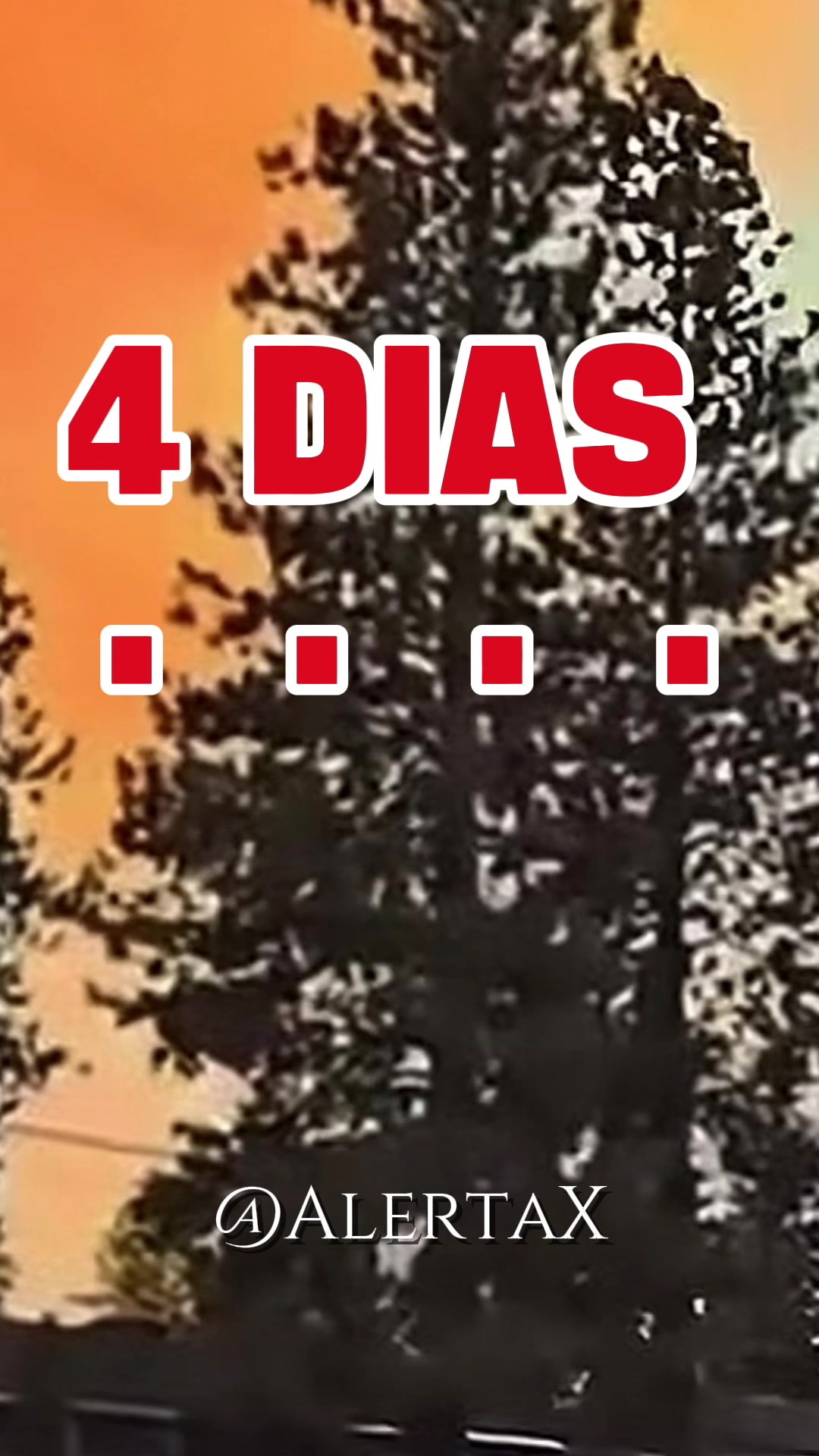 @@AlertaX