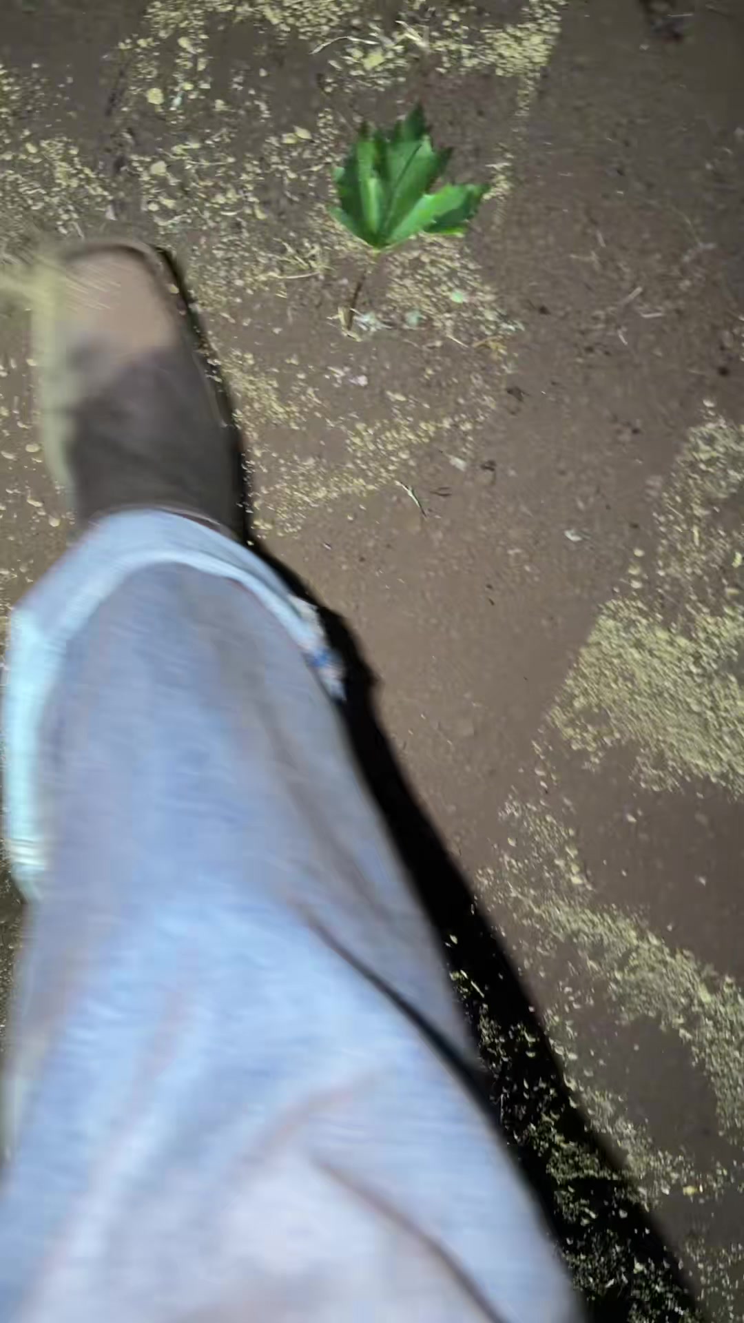 @M🌟