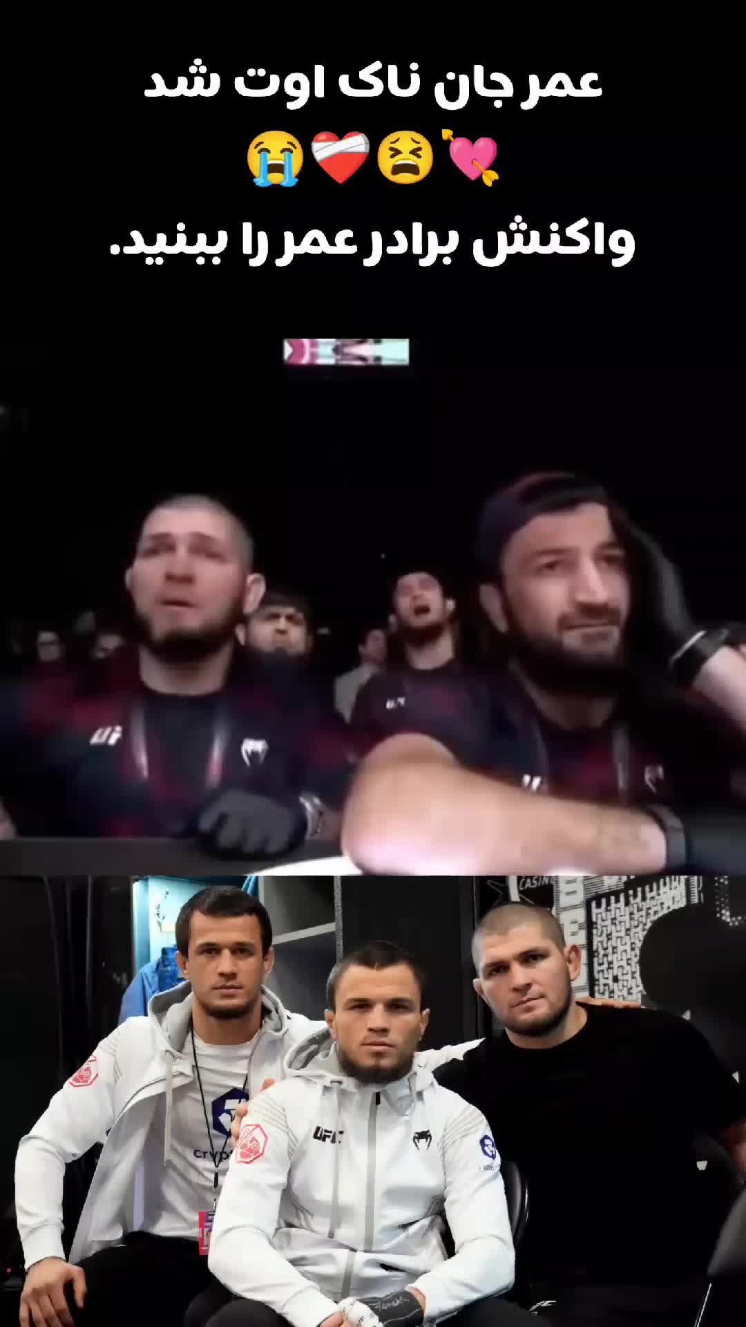 @Fight Show Pluse