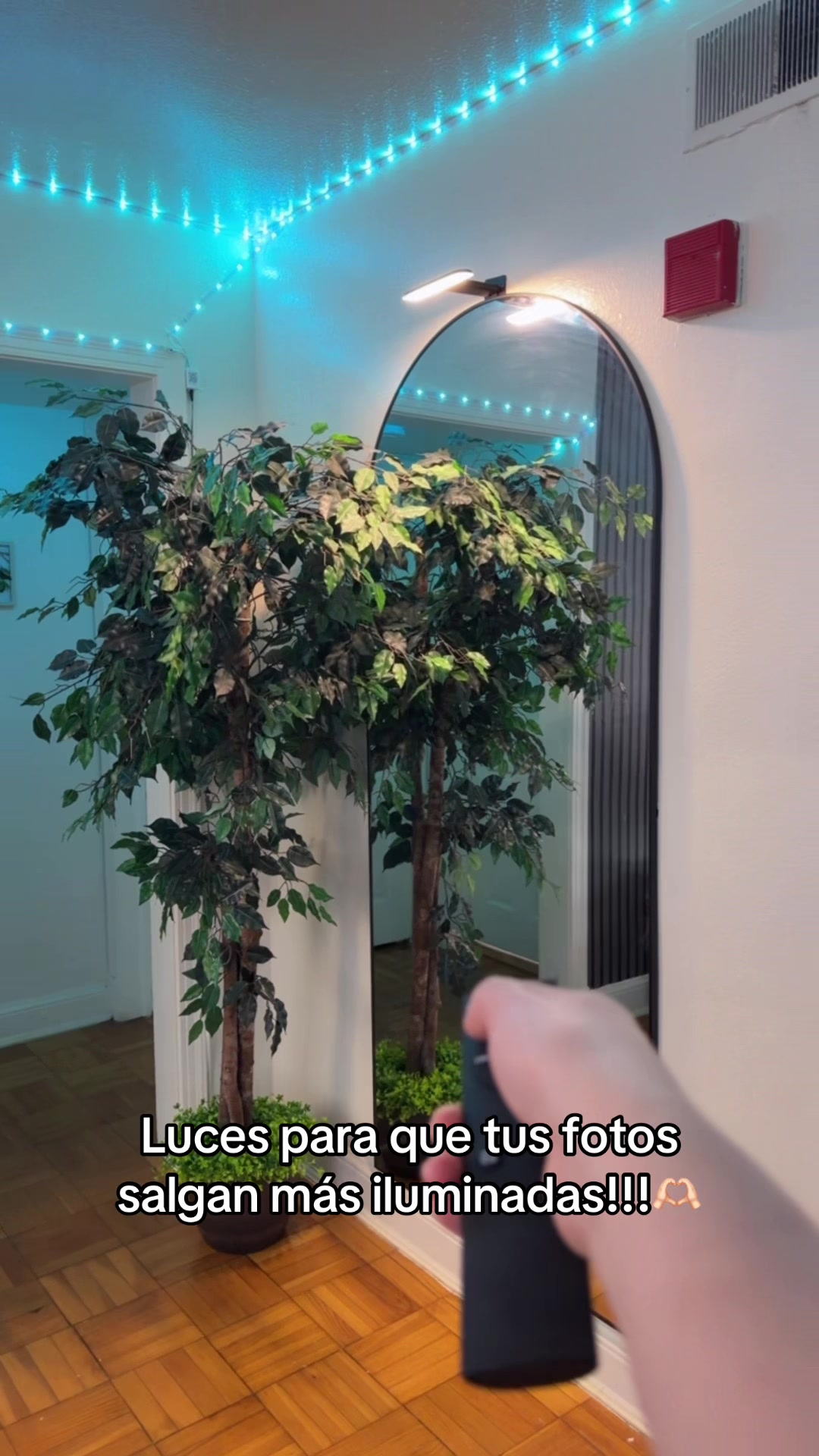 @Jenny