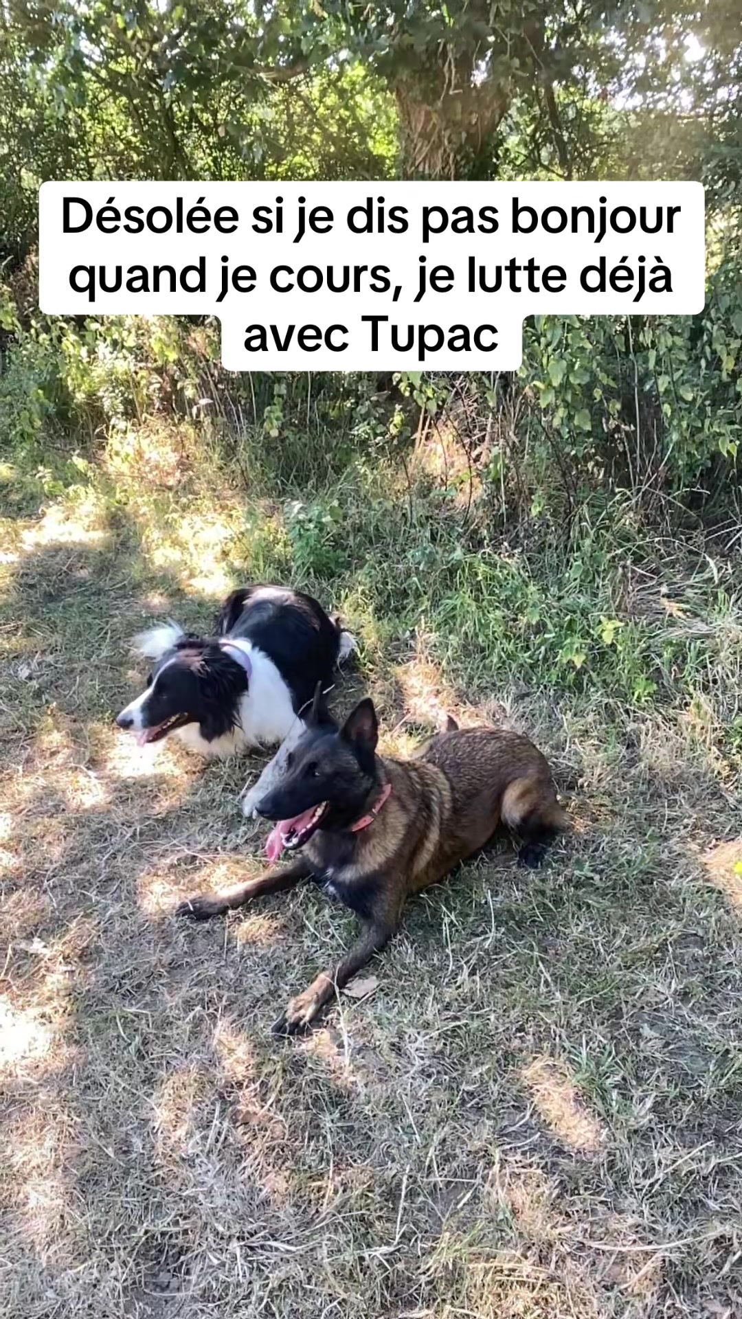@PacoPacoPaco_le_chien
