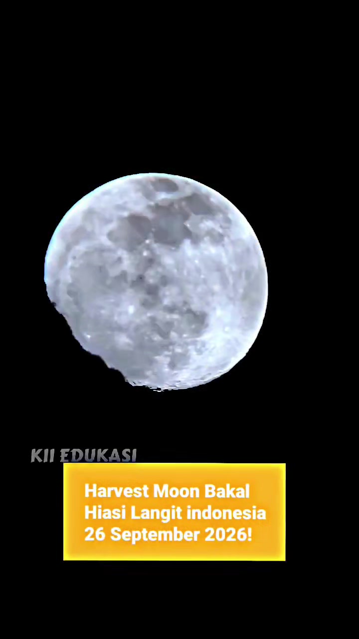 @๐๐๐ ๐๐๐จ๐๐๐ฆ๐ ๐๐๐พ๐ช