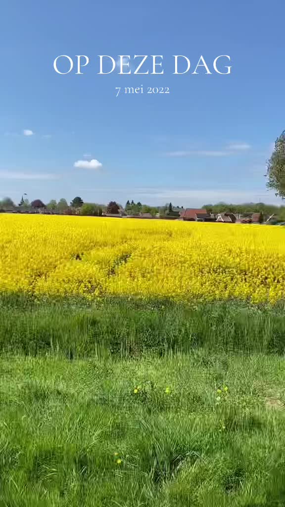 @TaxxxiLau