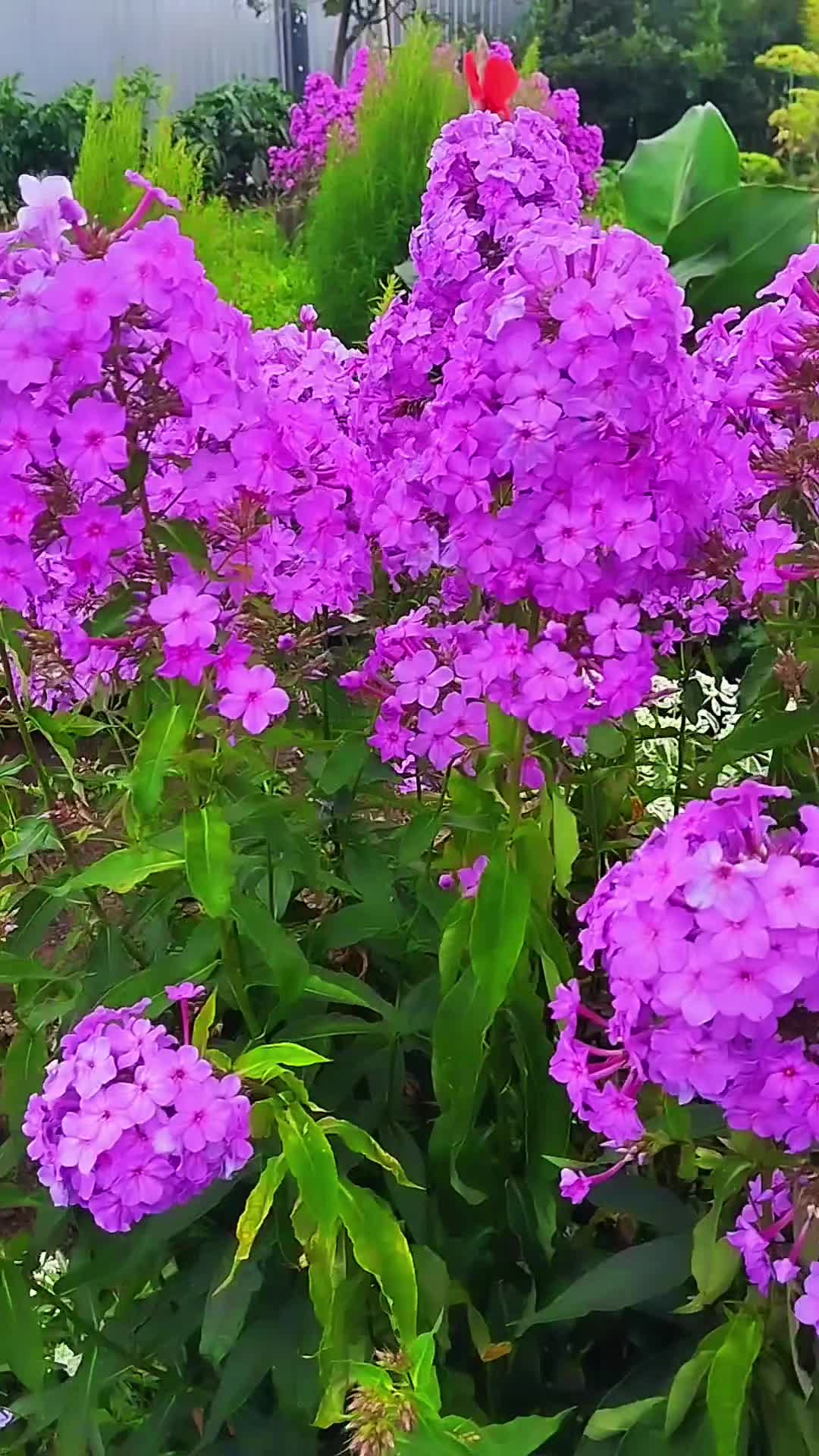 @💕💕Руфинa💕💕