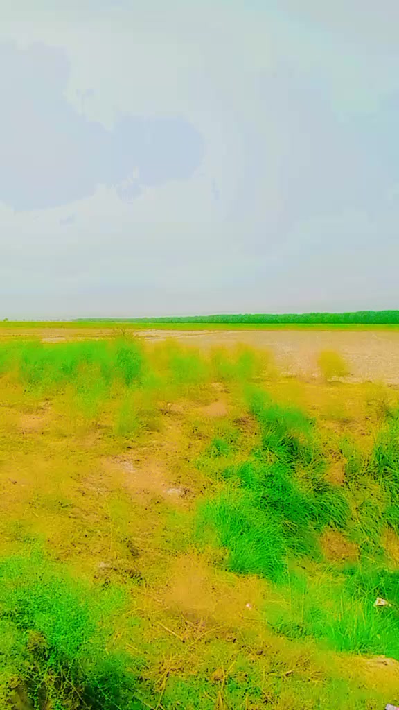 @باغي واجد سنڌي✌🚩