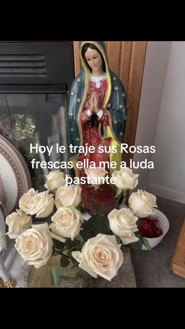 @LYNDAREBE