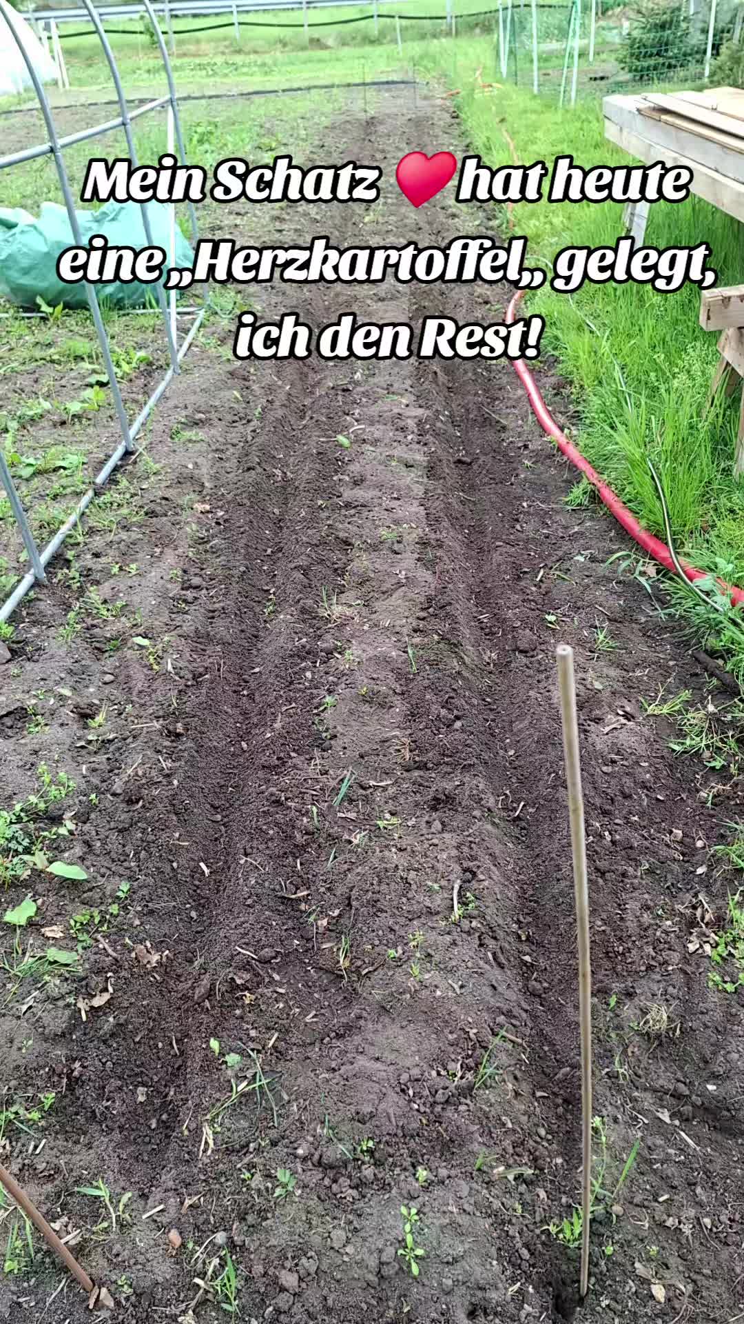 @Marco