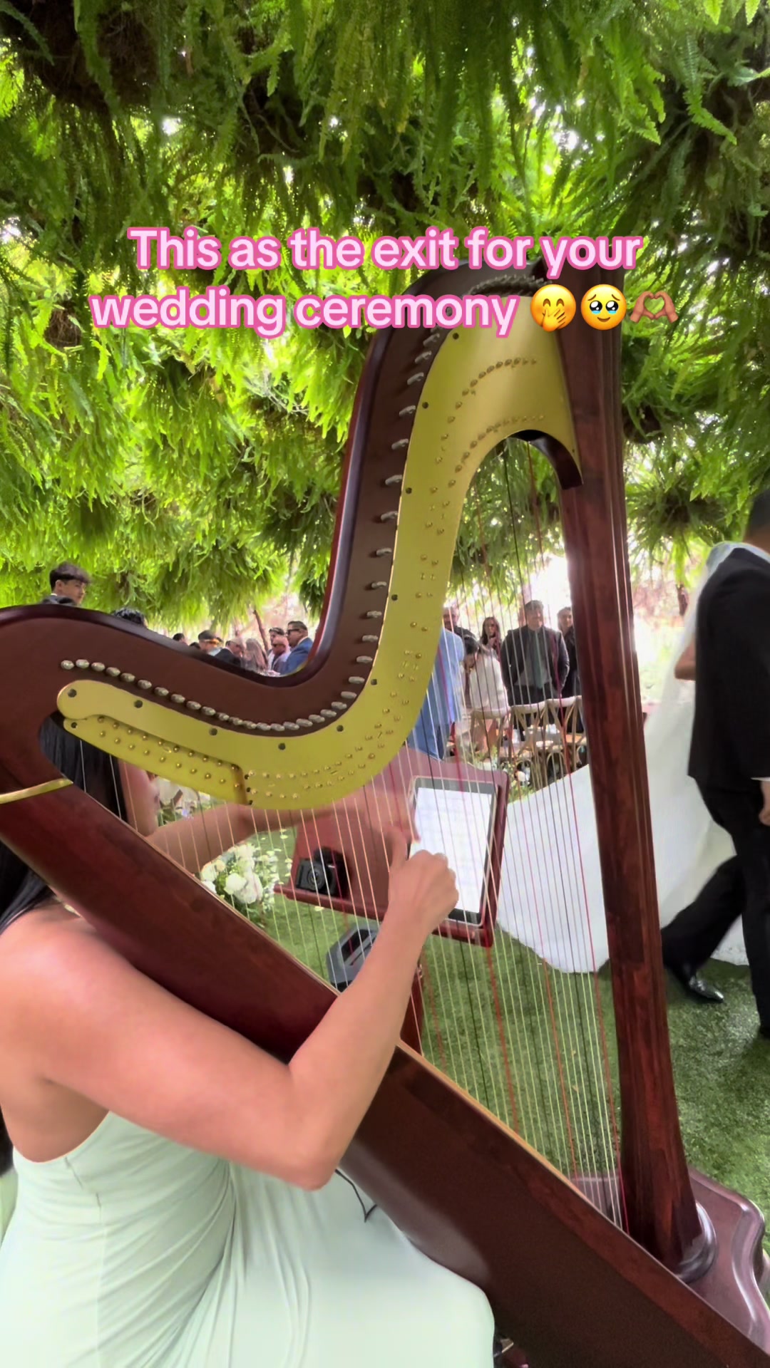 @betaniarodriguezharp
