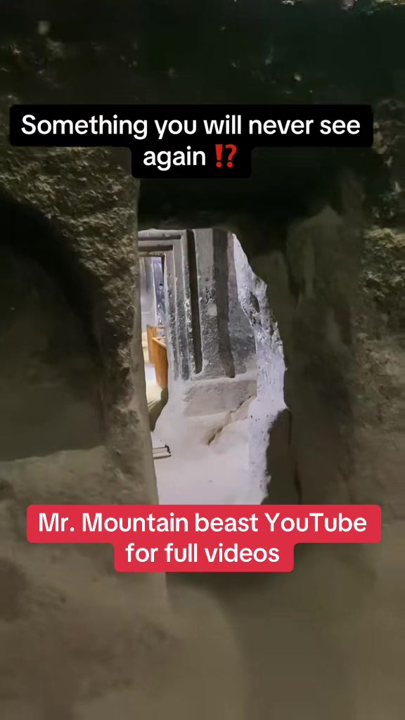 @Mr.mountainbeast