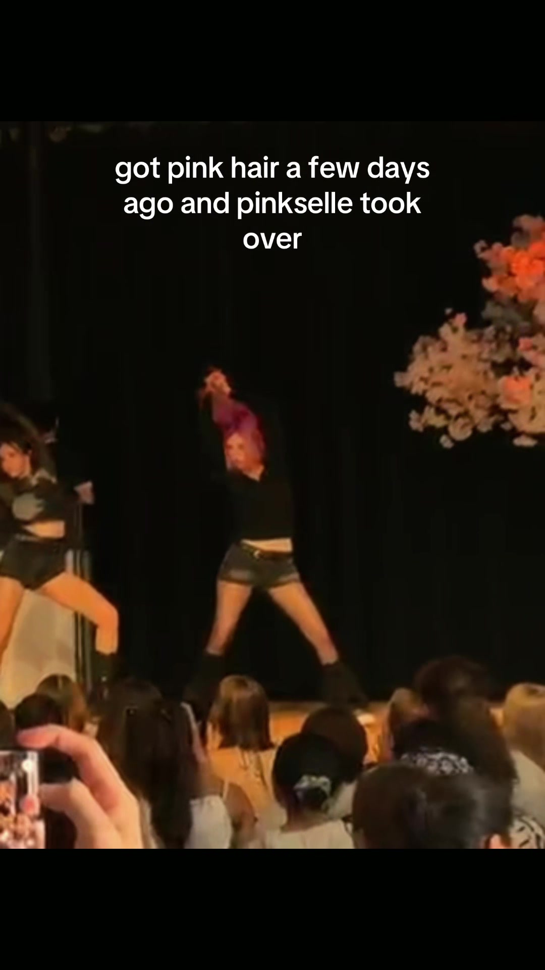 @sana₊˚ෆ🪽