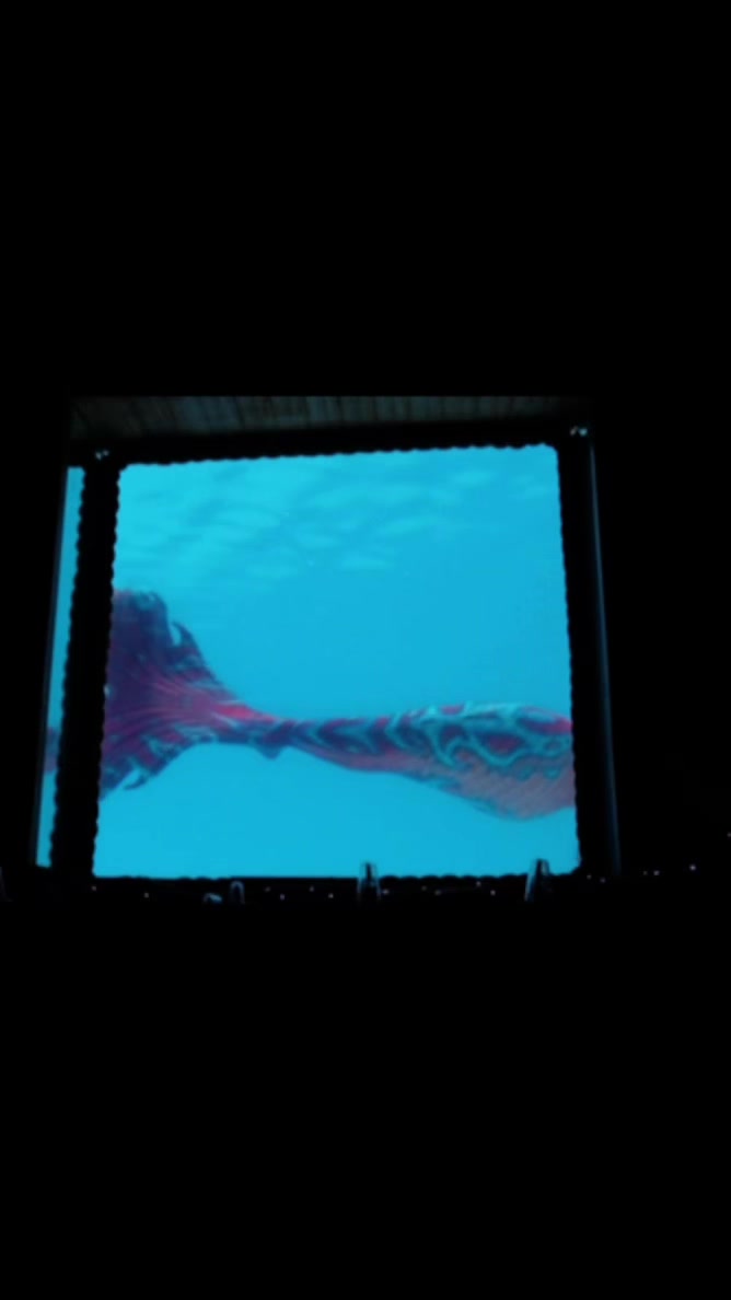 @Muse the Mermaid