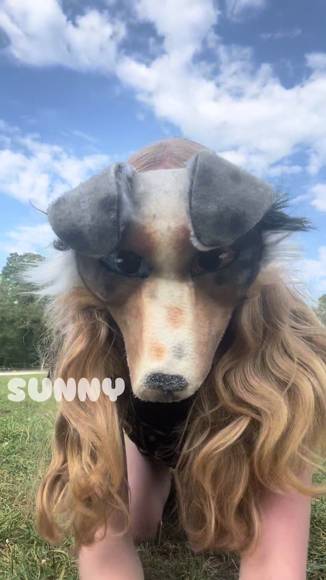 @⋆₊‧⁺˖Sunny⋆₊‧⁺˖