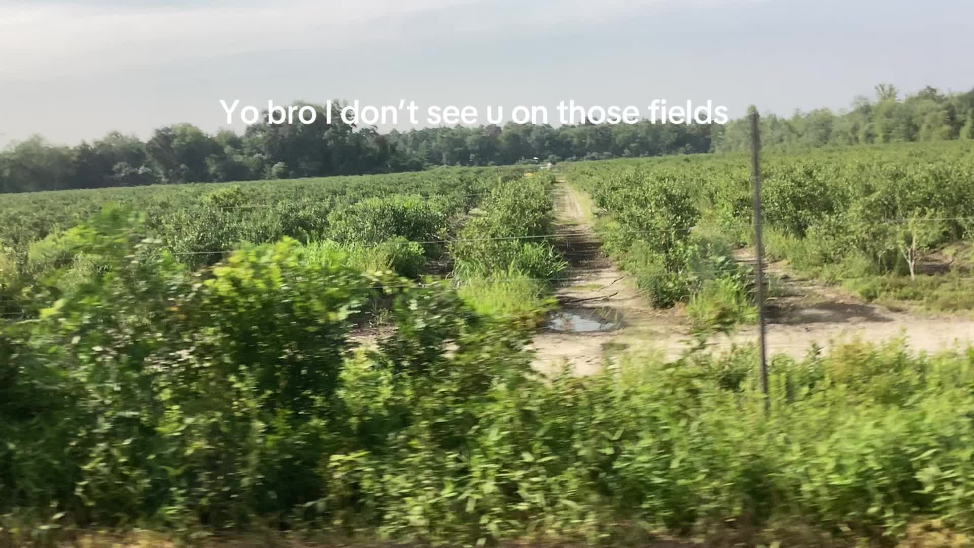 @Appols