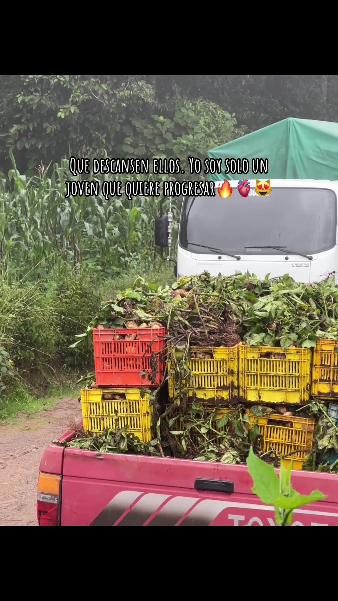 @Victor🌱🚜
