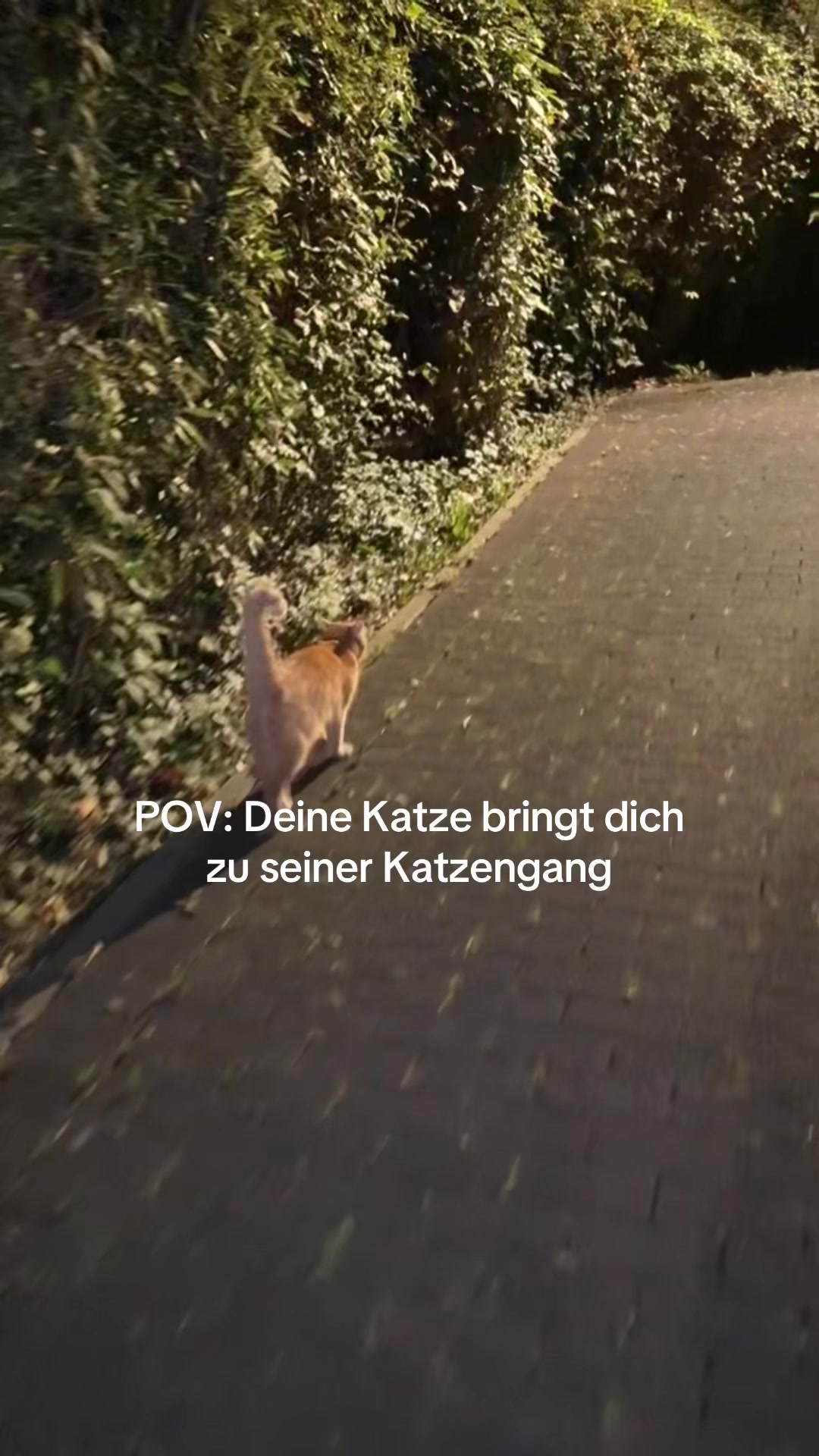 @ALINA 🐆🤎