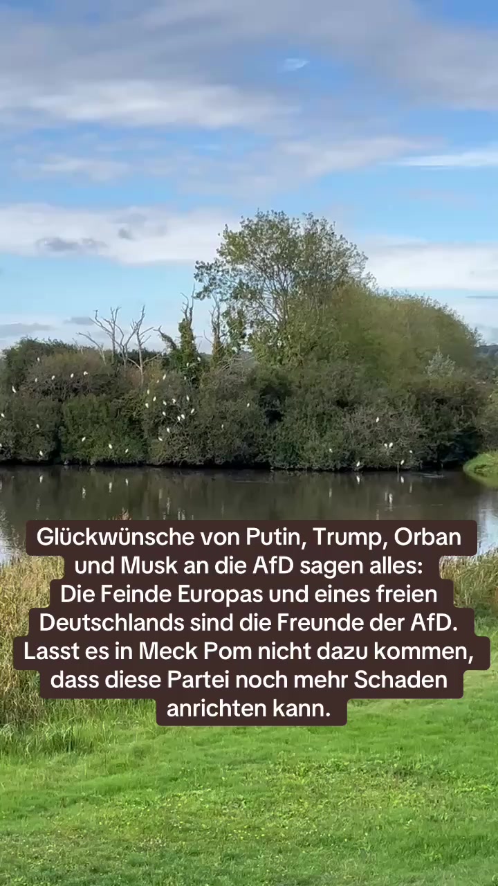 @Contra.AfD