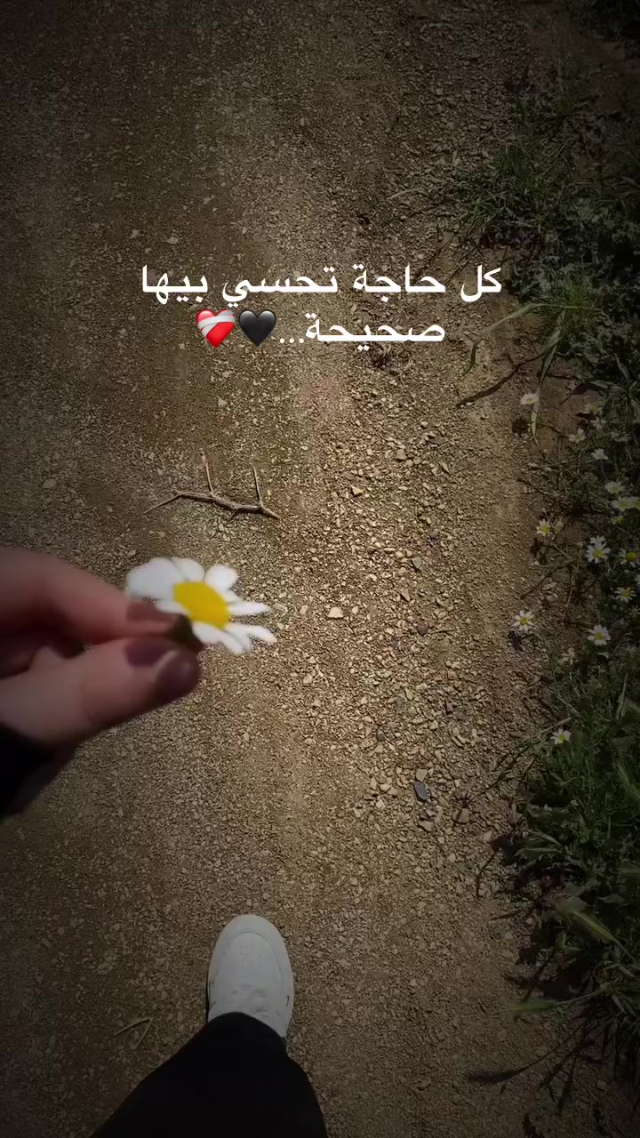 @๐ฆข๐