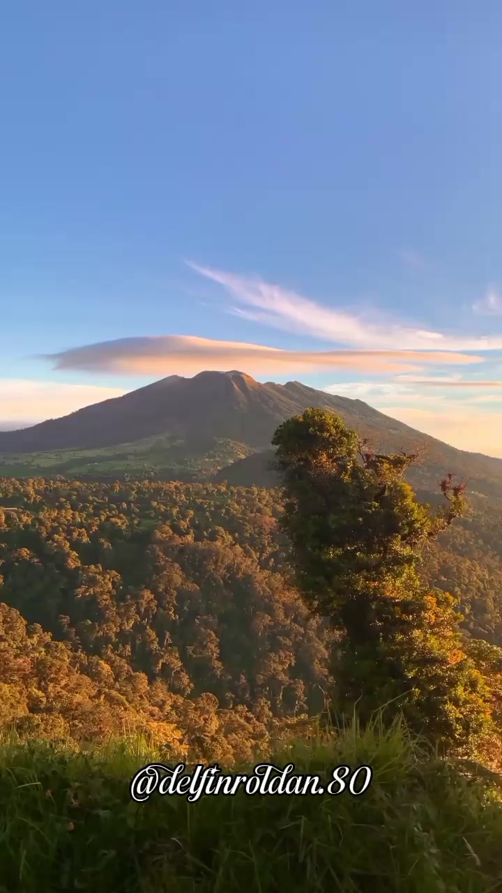 @Delfín🇪🇨