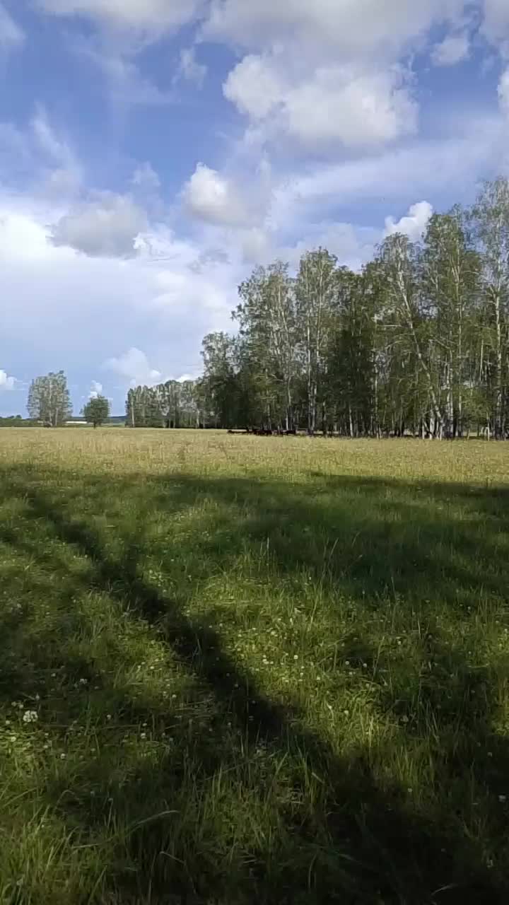 @дед Максим