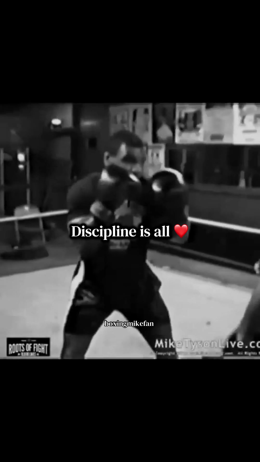@boxingmikefan