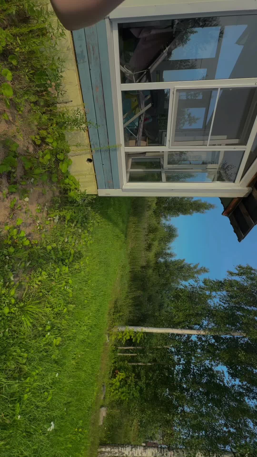 @nestesees