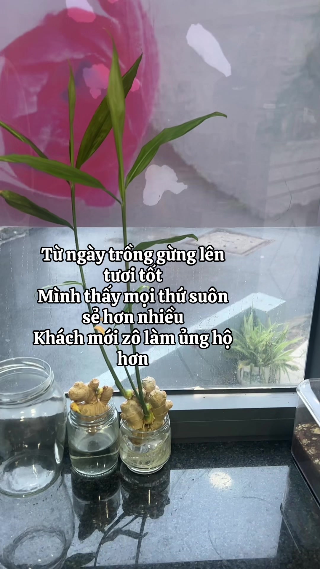 @ThuýAnh 1 9 9 1 🐐
