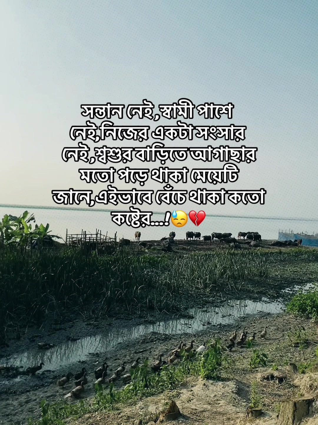 @FaiZa - -🦋👀