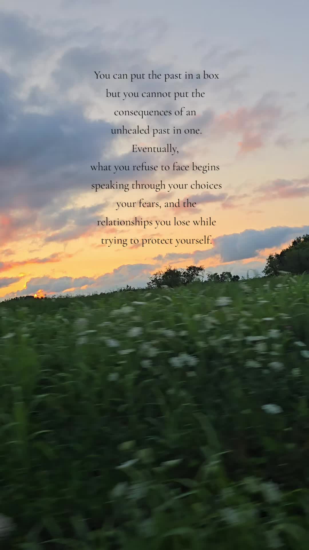 @amber83eternalroot