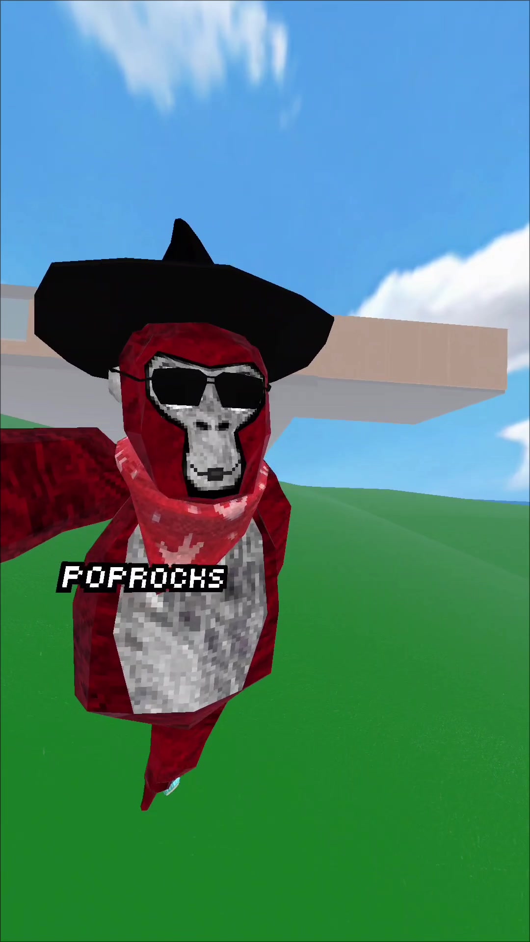 @PopRocksGT✝️