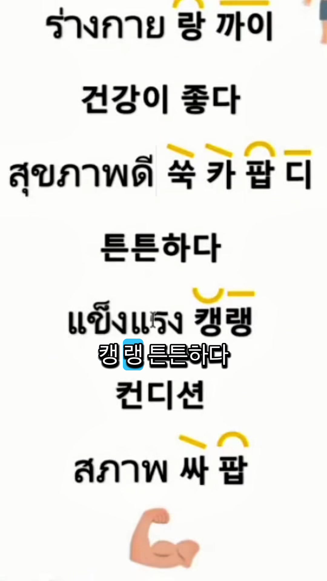 @Youngining TV