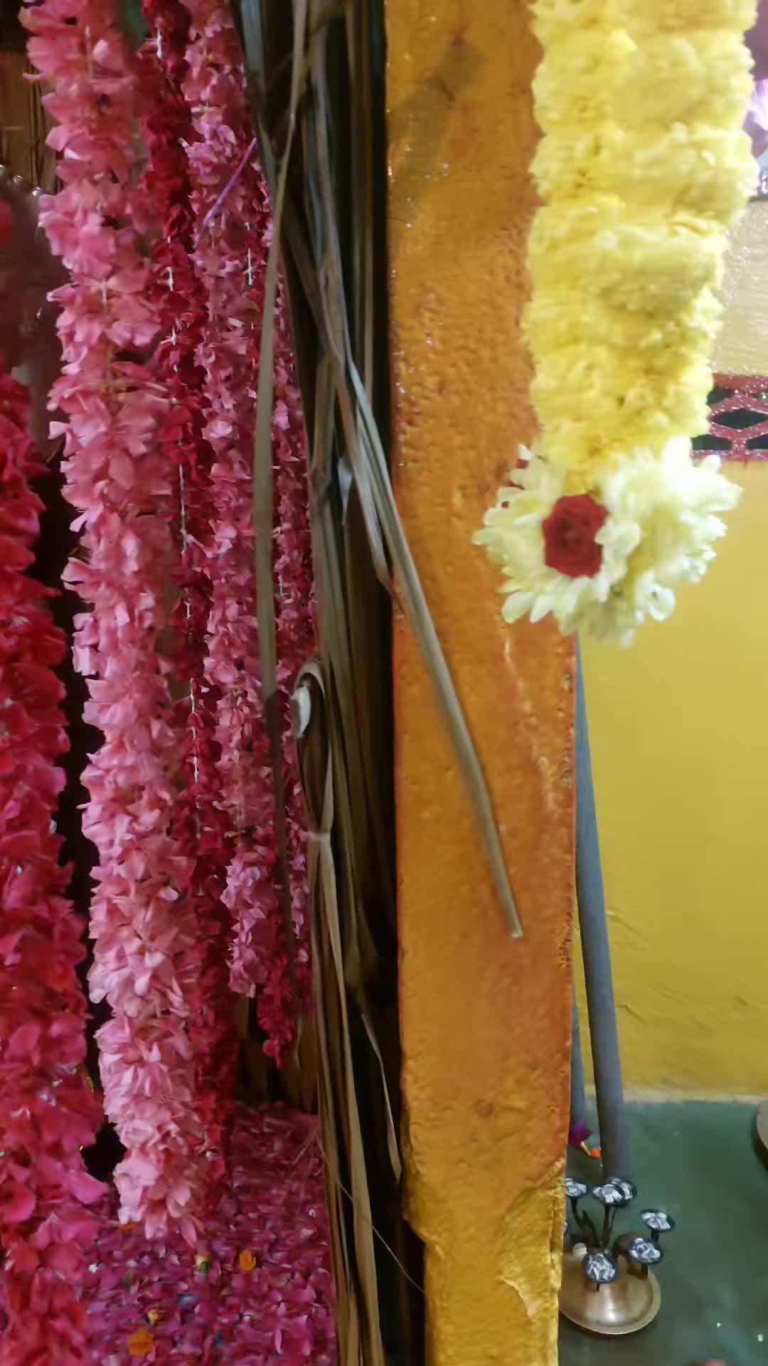 @arri thevan