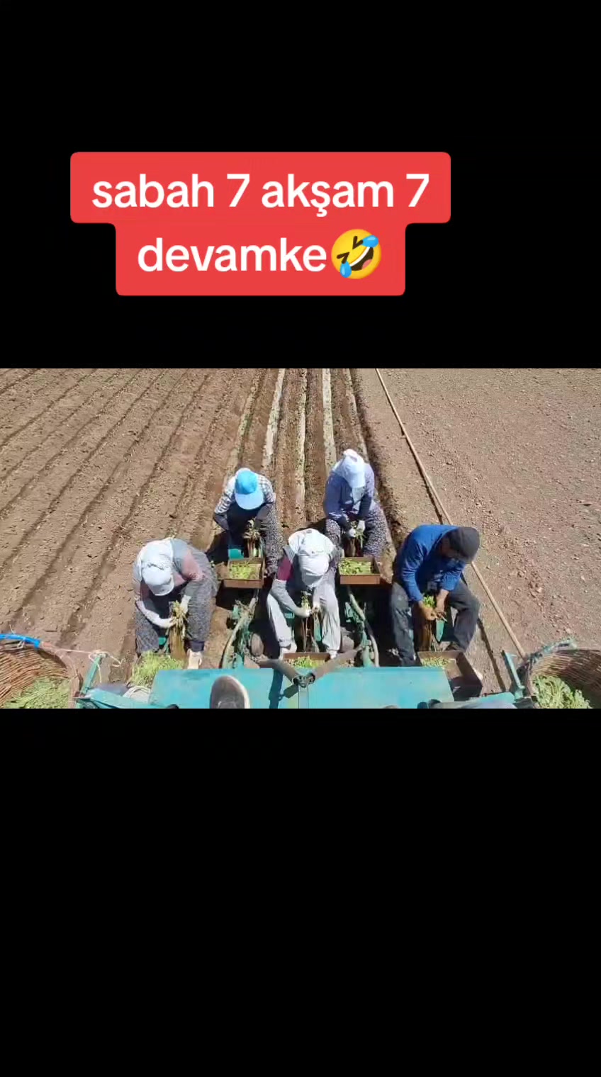 @☺️Farmasi Cemile damgacı🐟
