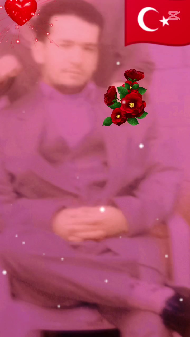@hamzacan638
