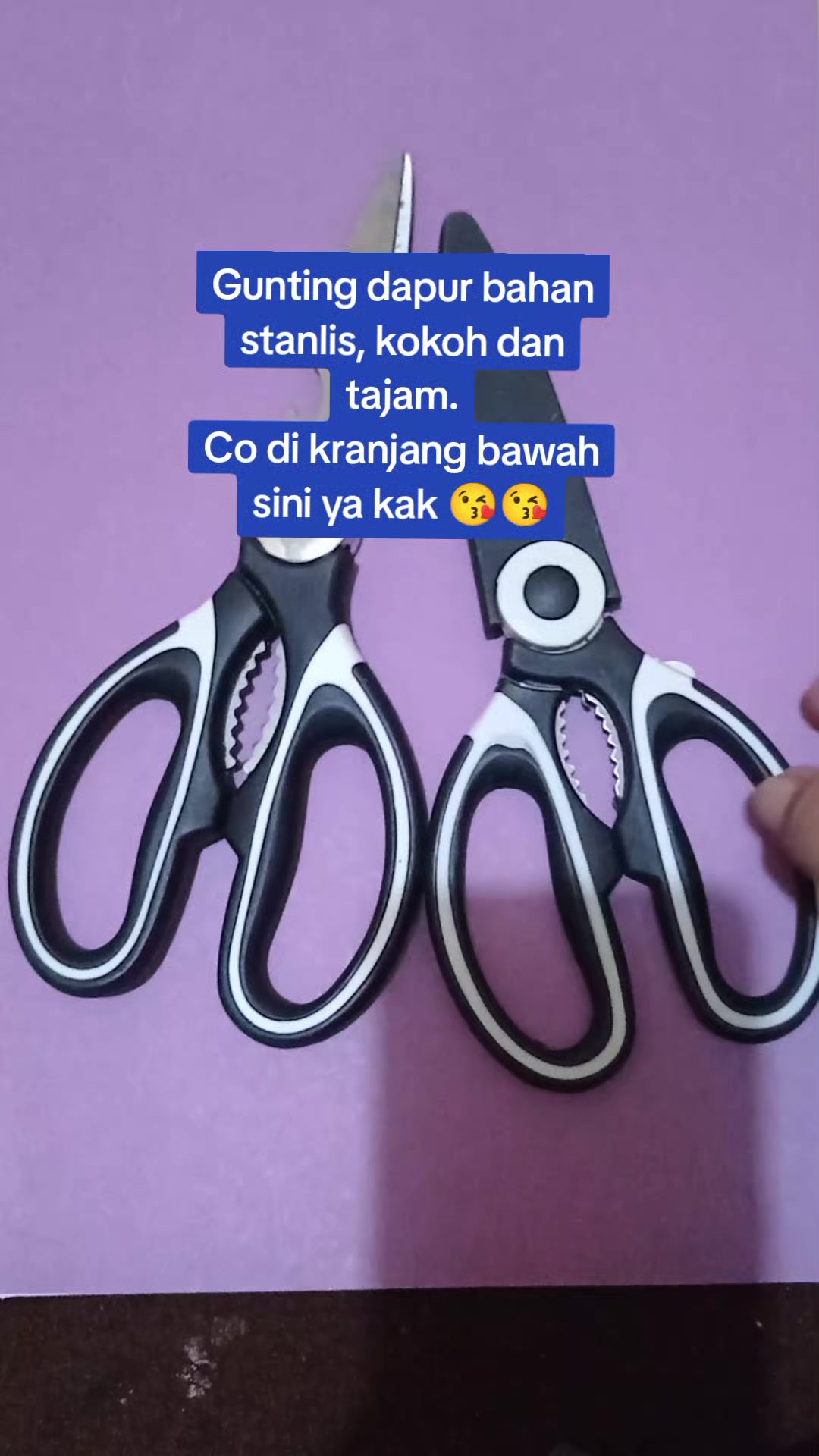 @Purnama