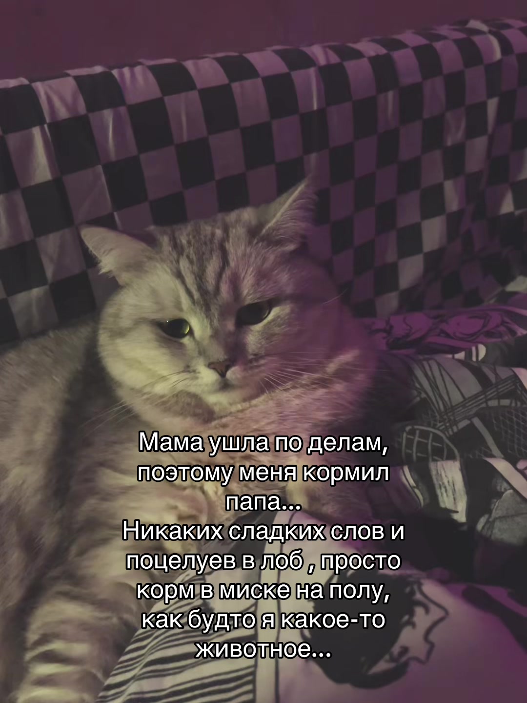 @🎭Пася🎭