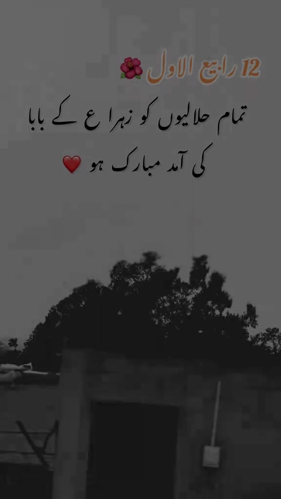 @Alinaqvi110🦅