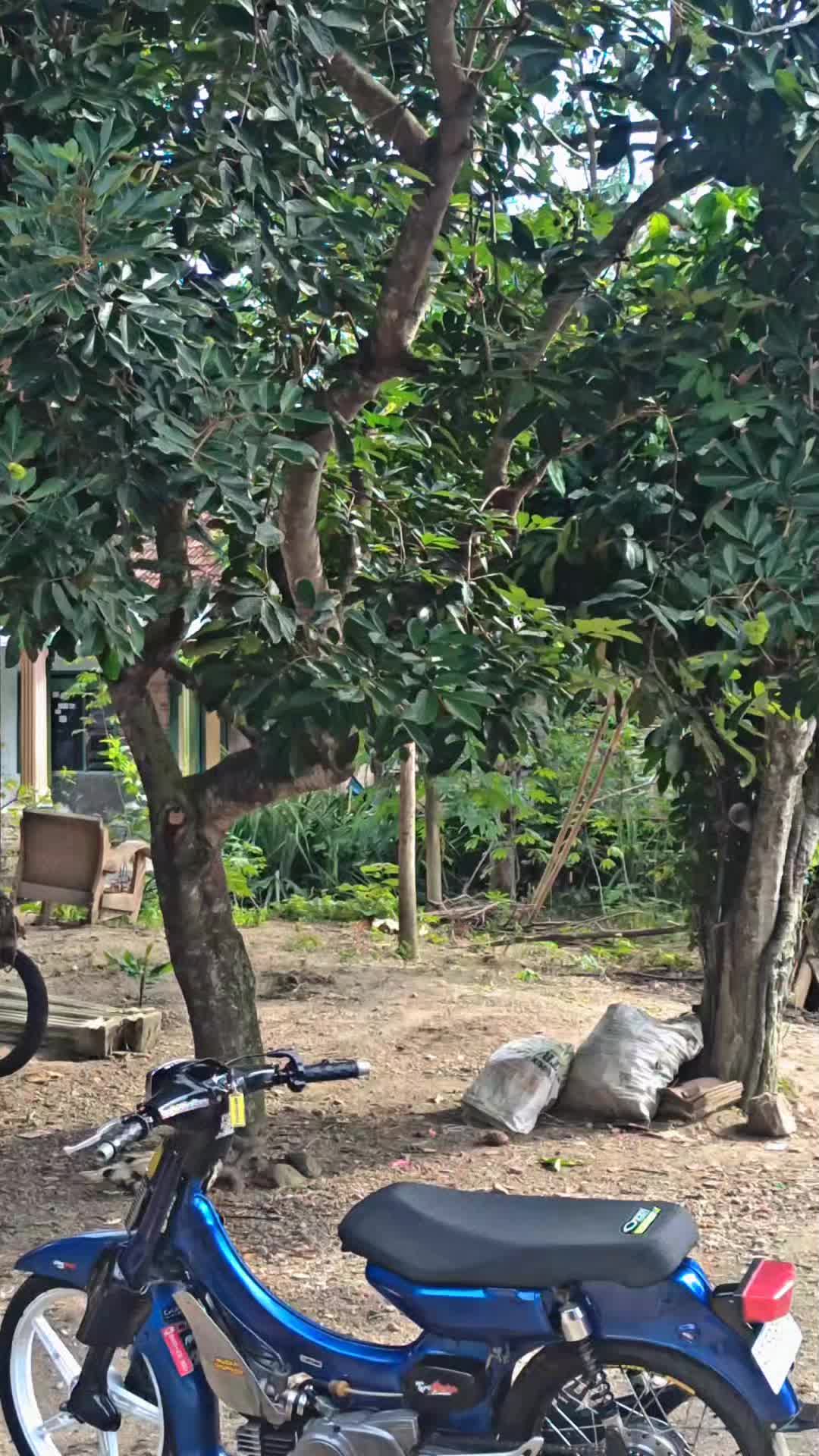 @Ranggerrrrrrrr🤙