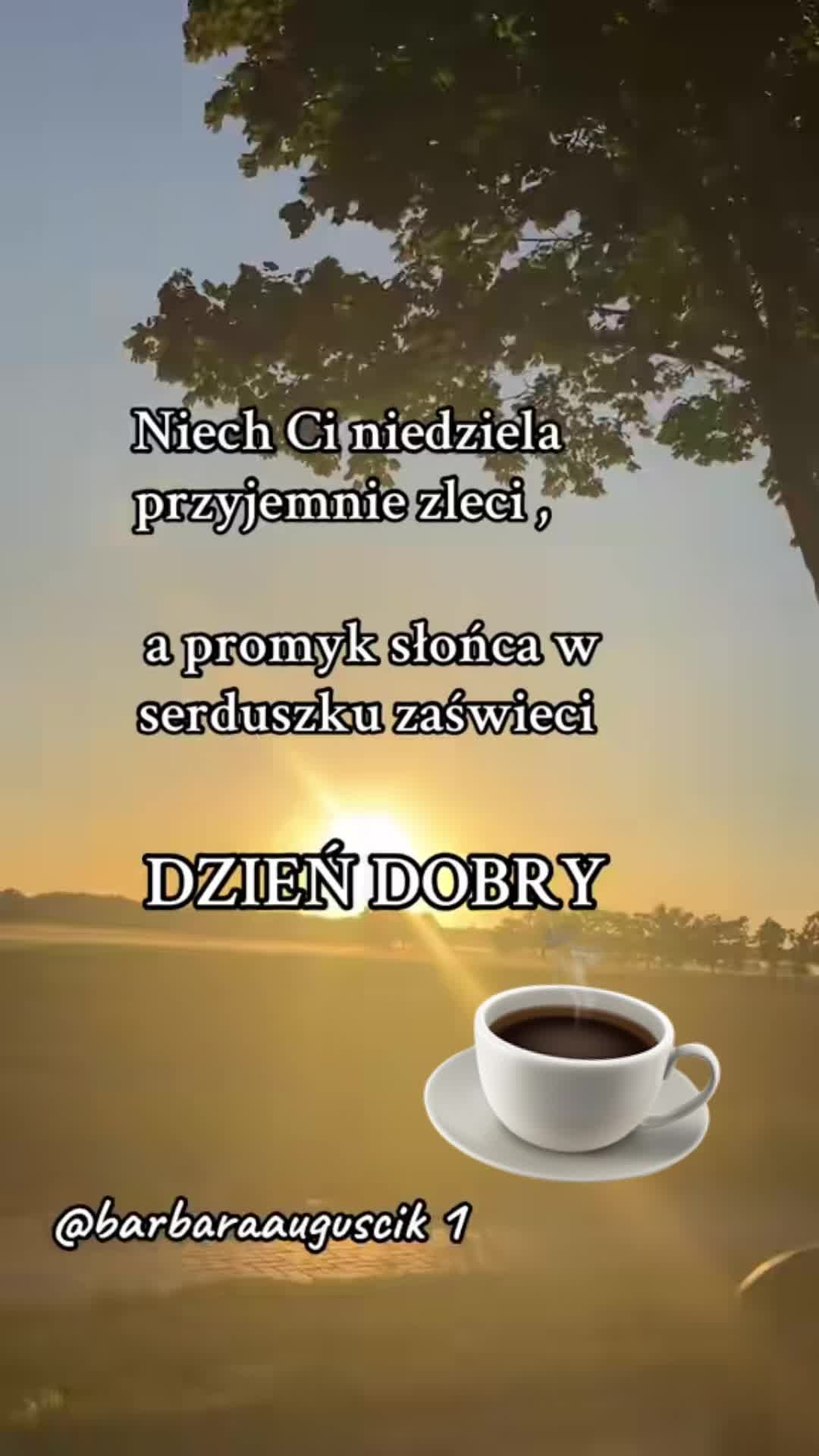 @barbaraauguscik1🇵🇱🇩🇪