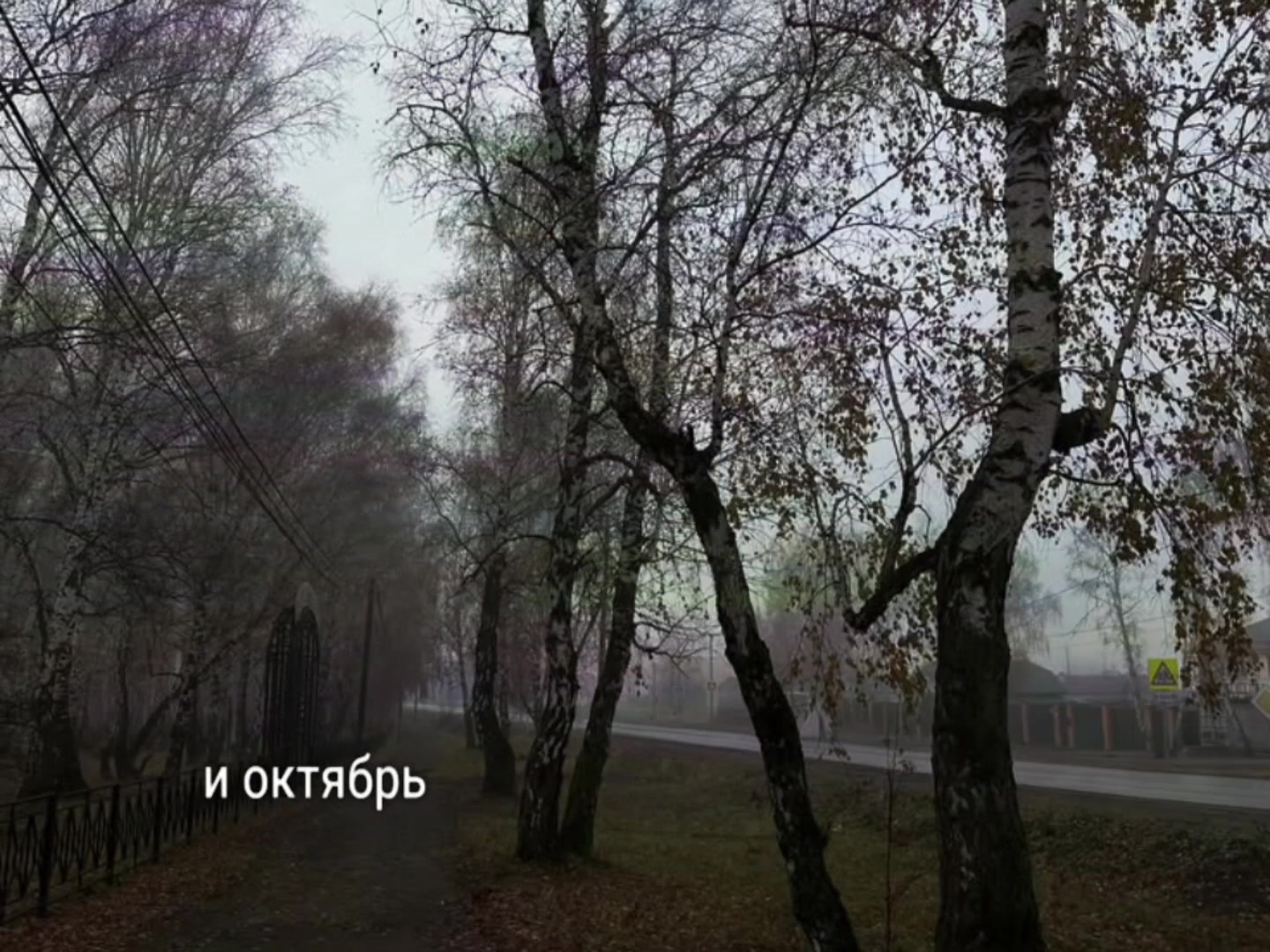 @треки для липсингов
