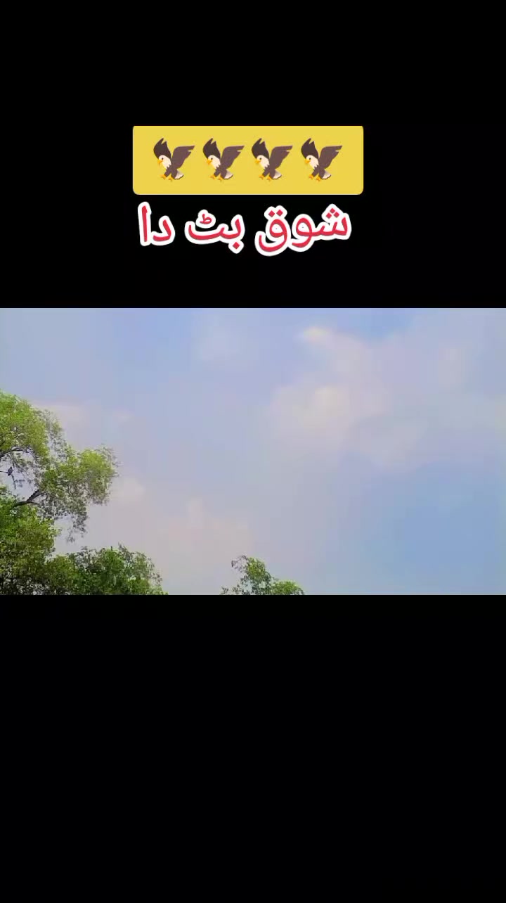 @faisaltiktok.com/@بٹ صاحب