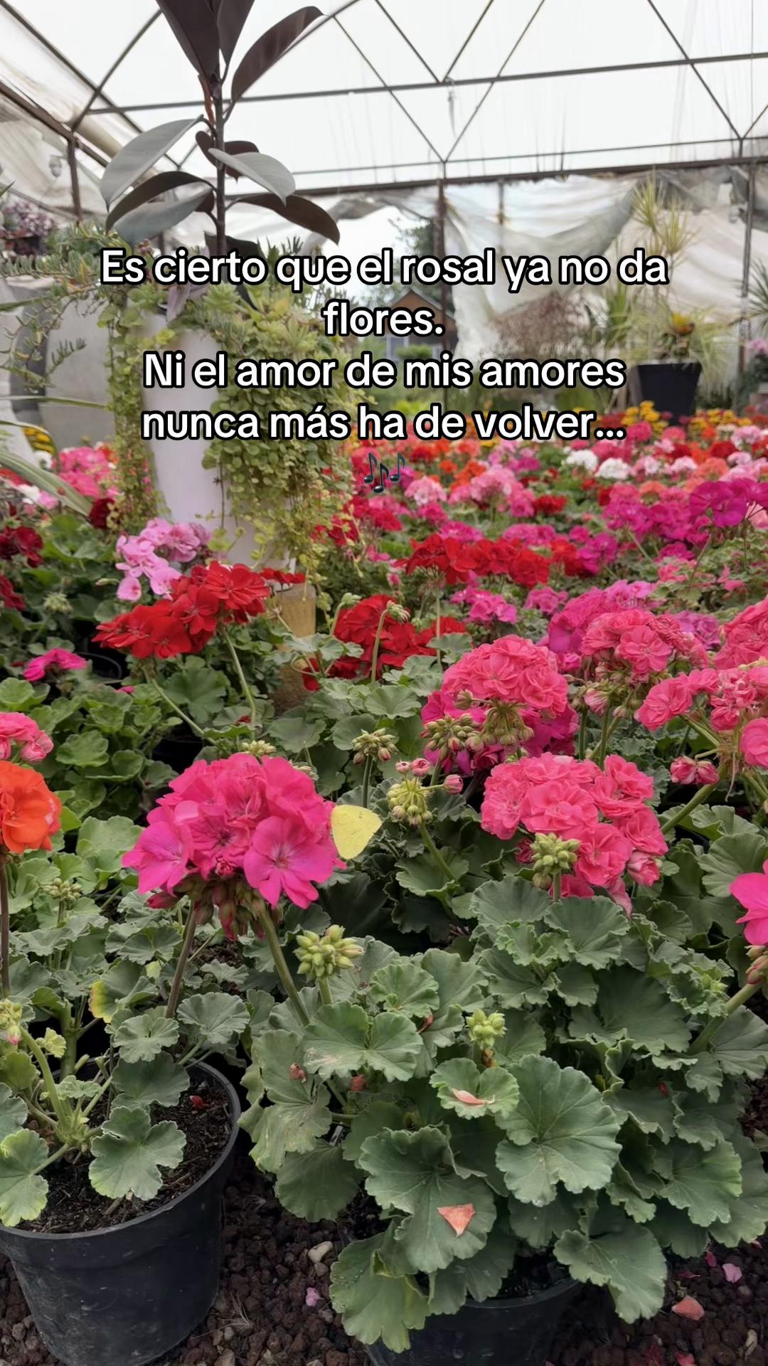 @Noemi Hernandez