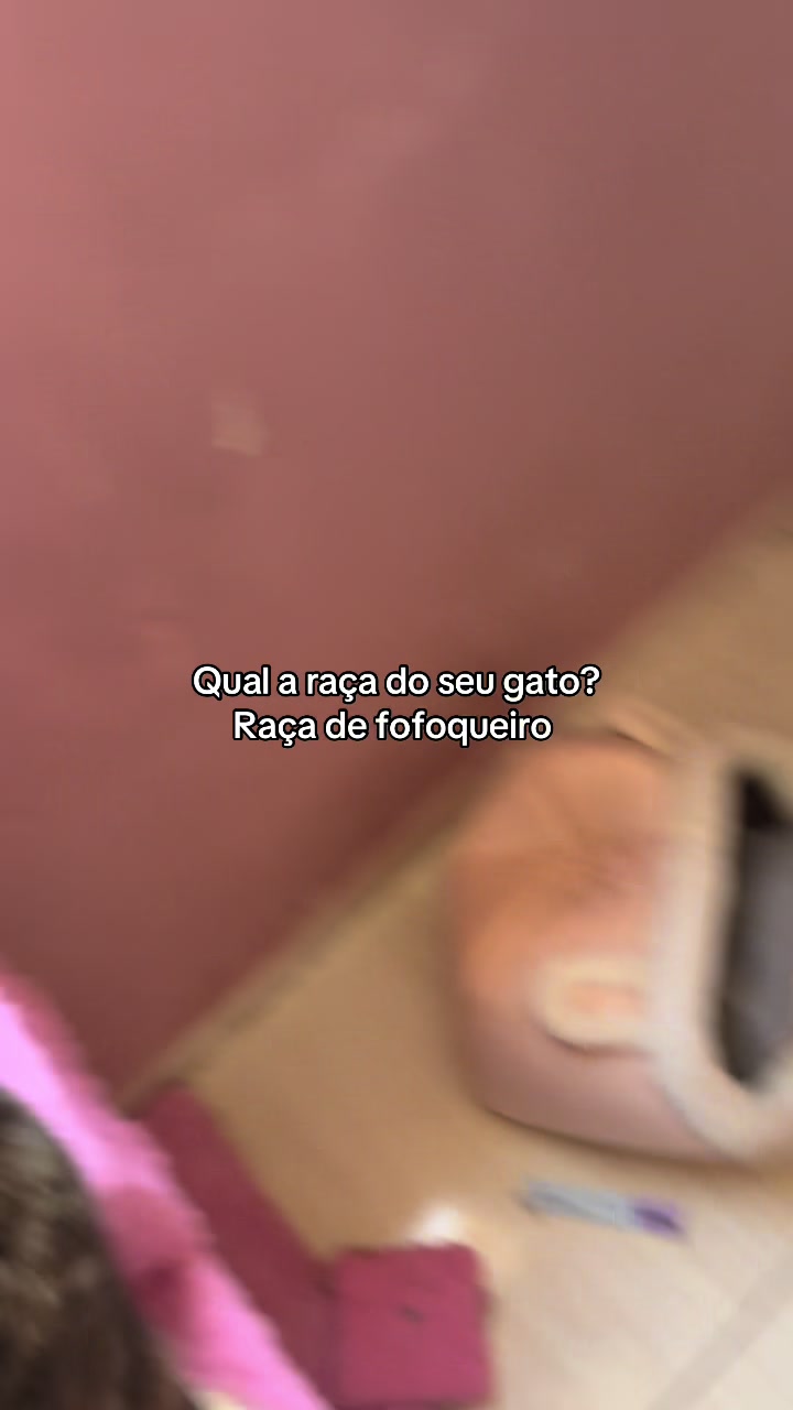 @ogatorenatinho