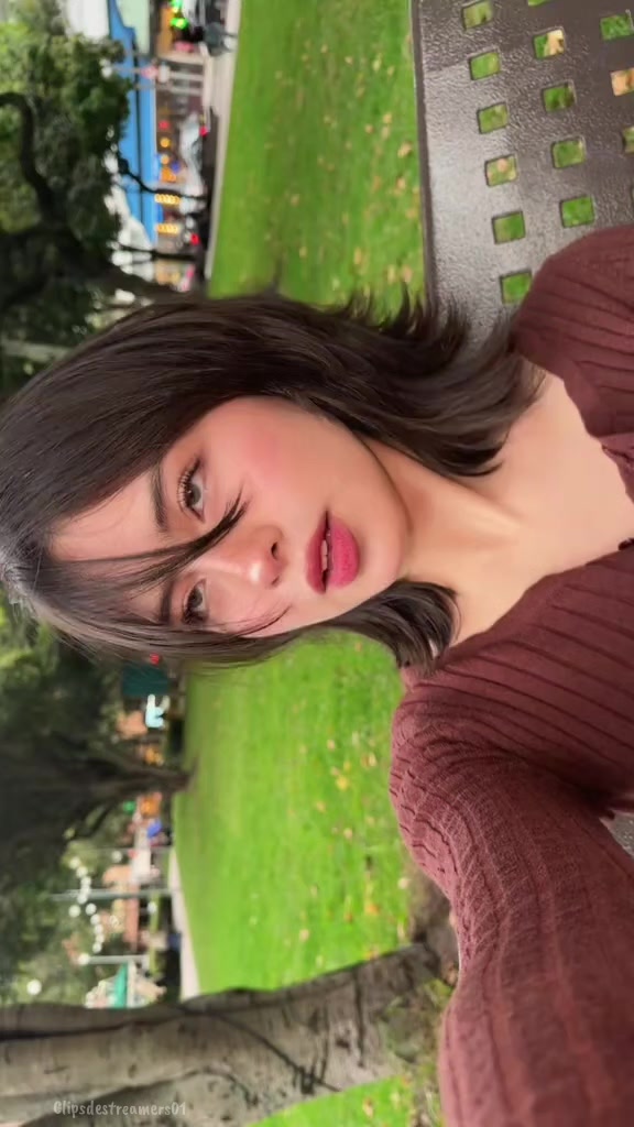 @CLIPSDESTREAMERS❤️