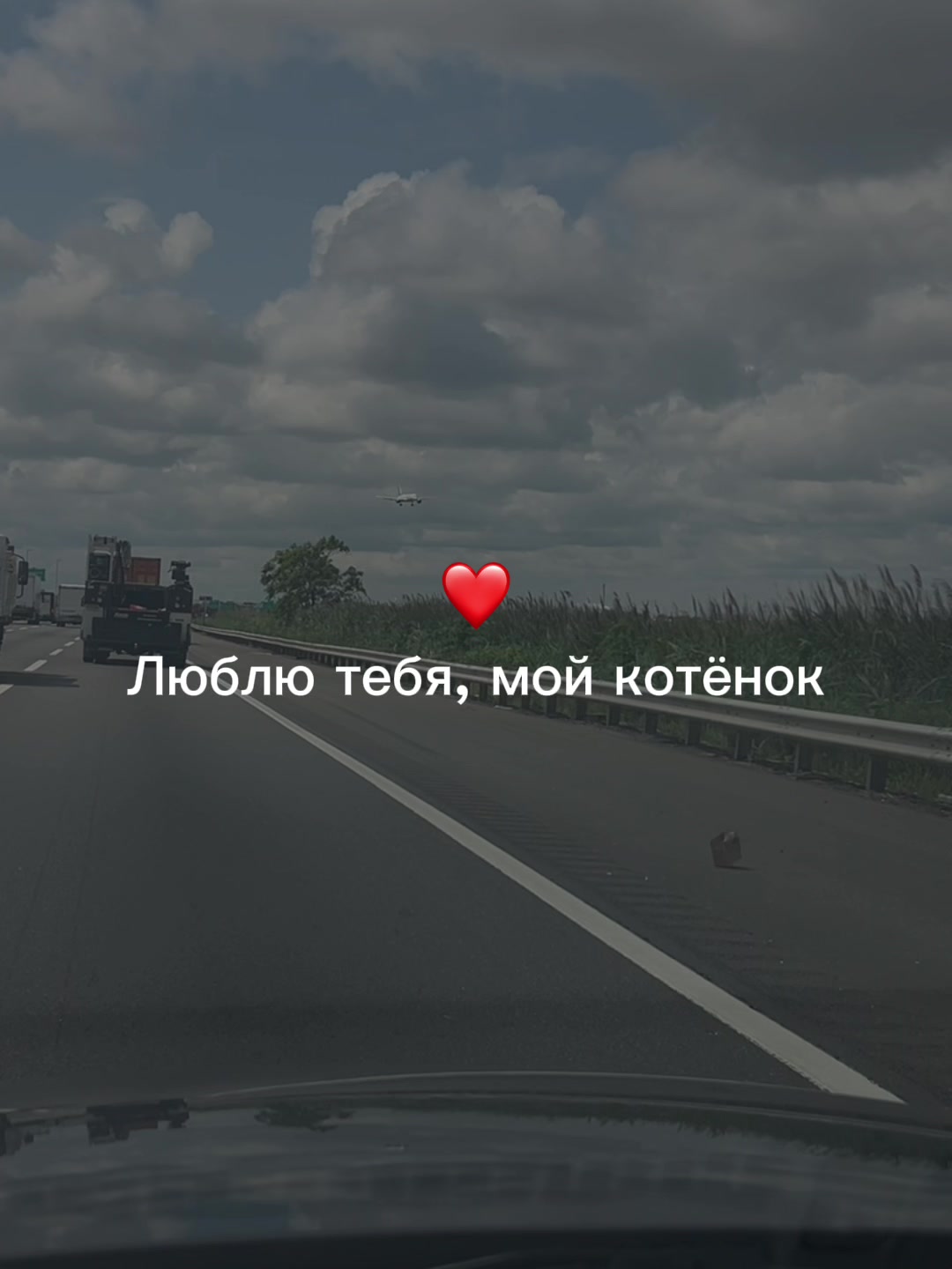 @muzdogz