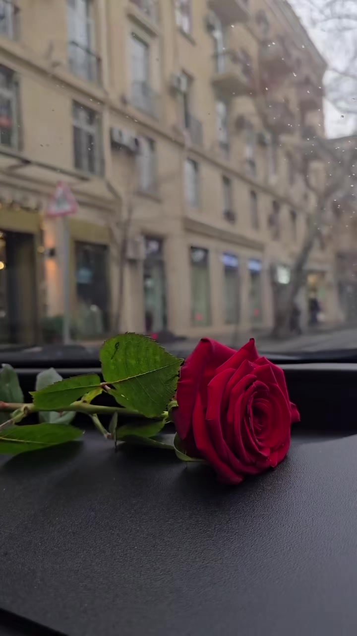 @soaad sosiyya