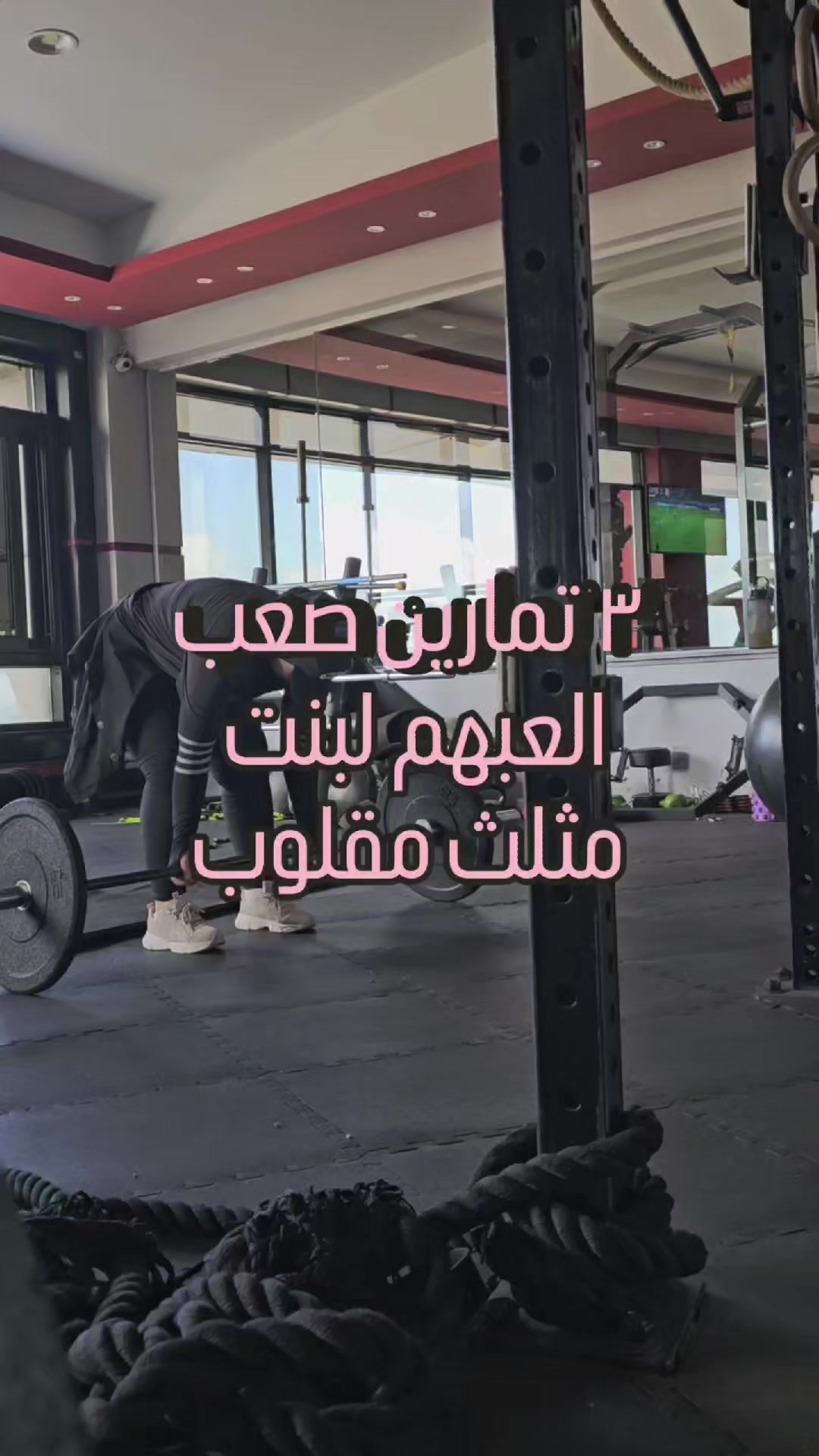 @dalia