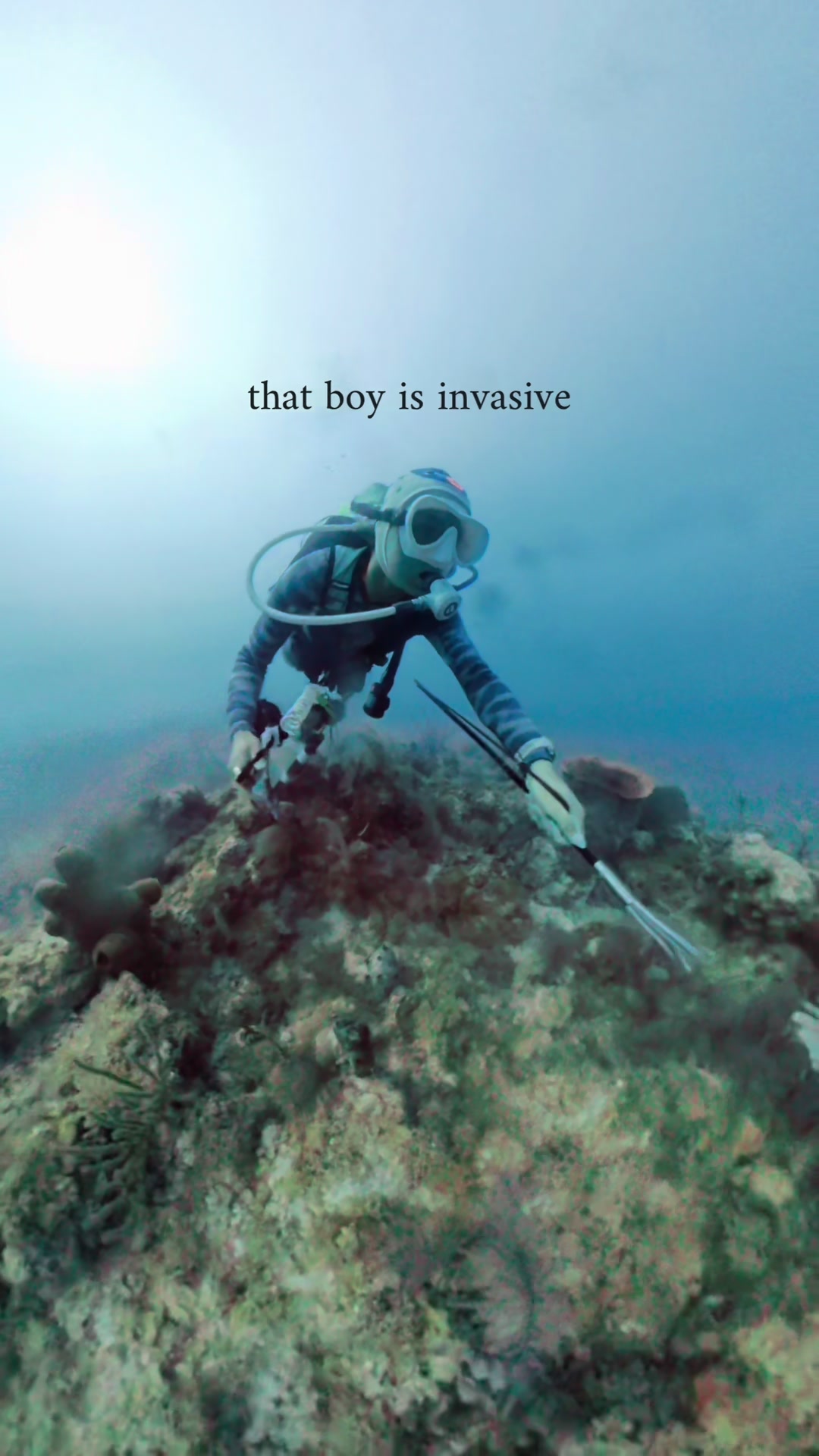@taylor | scuba instructor
