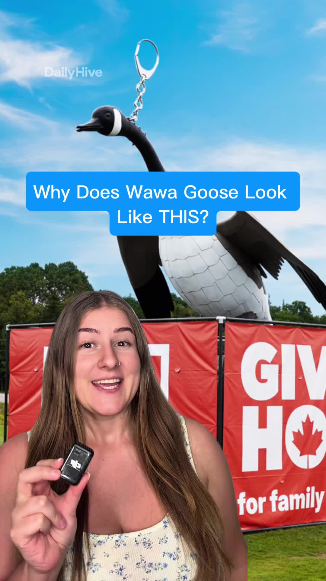 @dailyhivecanada