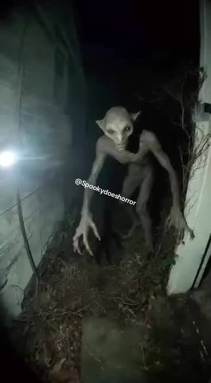 @Spooky👻