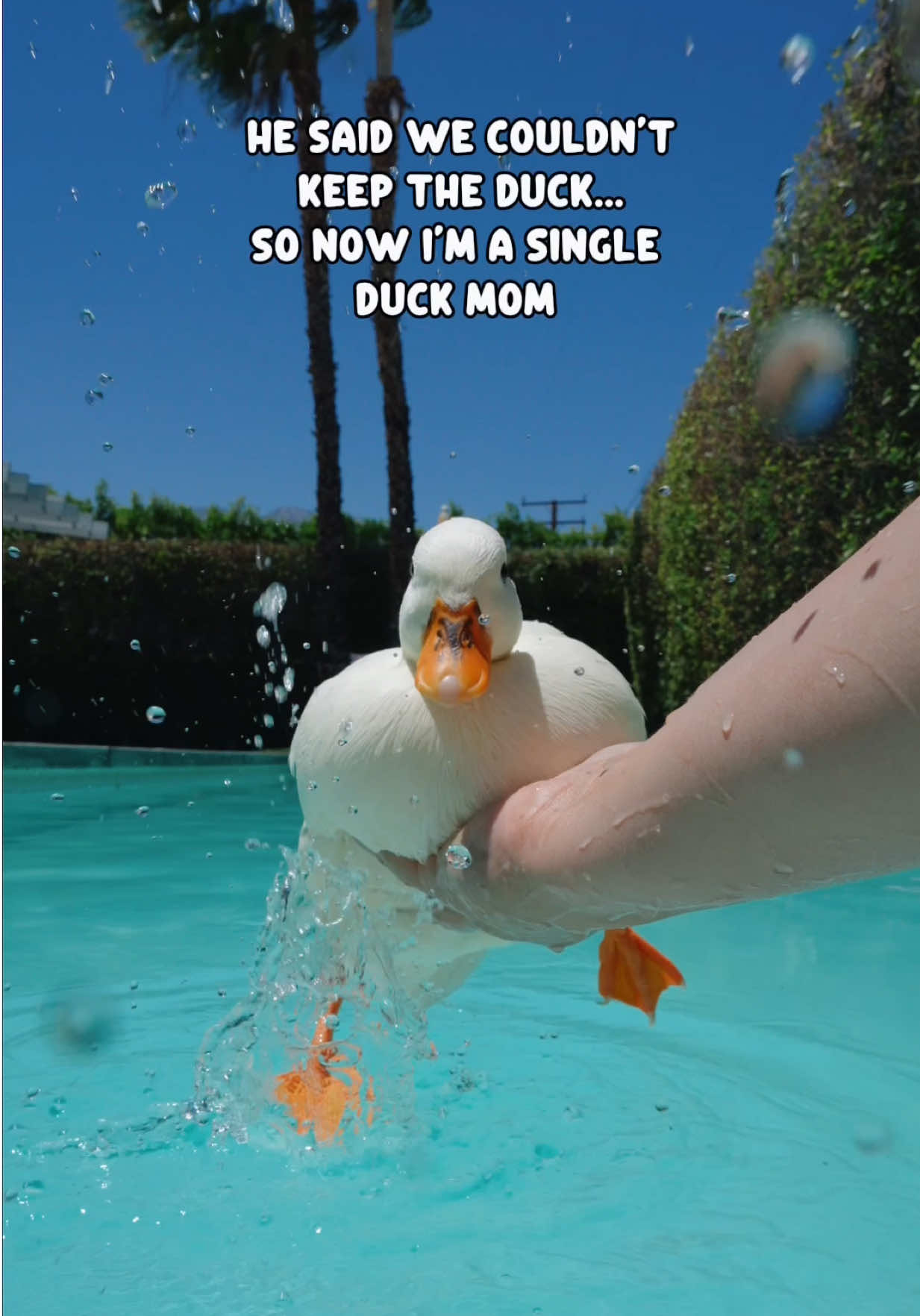 @ducks_in_space🪿🪿💦